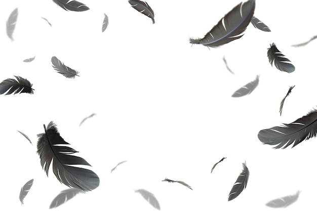 黒い羽が空中に浮かんでいます 白い背景に分離されました プレミアム写真