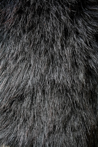 Premium Photo | Black fur texture background