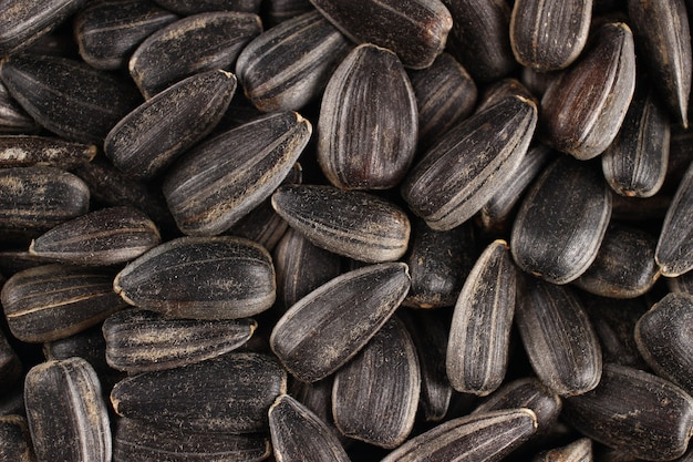 Premium Photo | Black sunflower seeds close-up