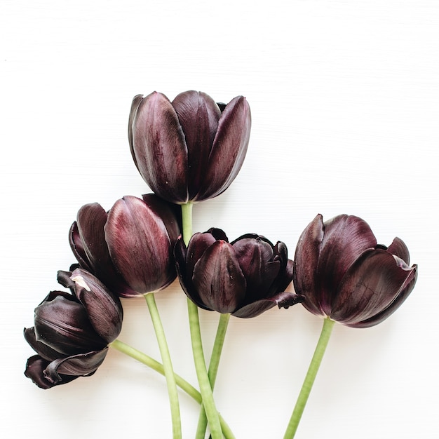 白い表面に分離された黒いチューリップの花の花束 プレミアム写真