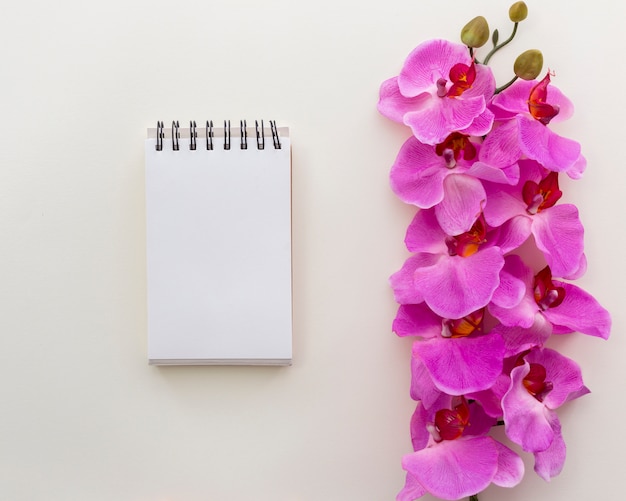 Download Blank spiral notepad with pink orchid flowers over ...