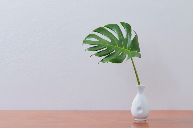 花瓶 屋内植物のモックアップにモンステラの葉を持つ空白の壁 プレミアム写真