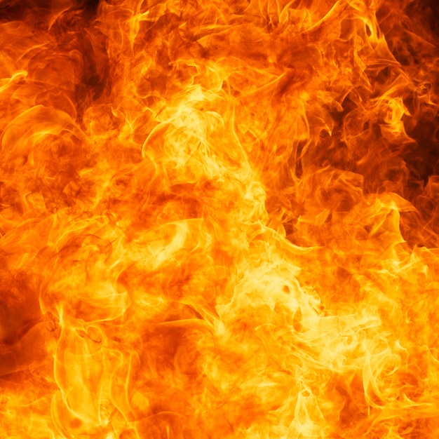 Premium Photo | Blaze fire flame texture background