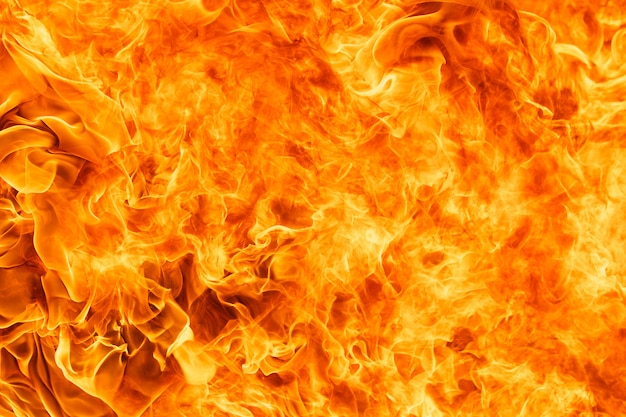 Premium Photo | Blaze fire flame texture background