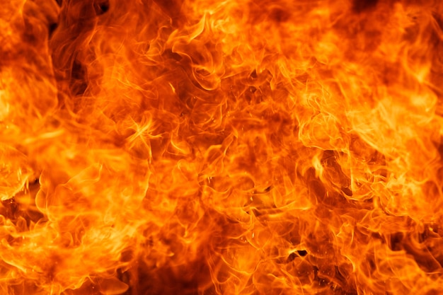 炎火の炎のテクスチャ プレミアム写真