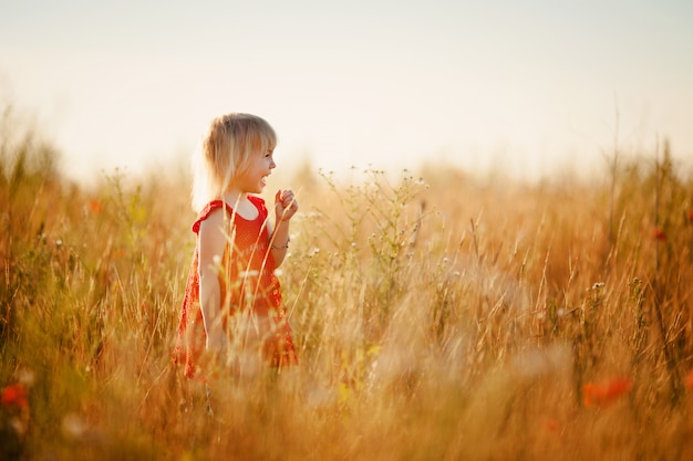 Premium Photo | Blonde girl in the field