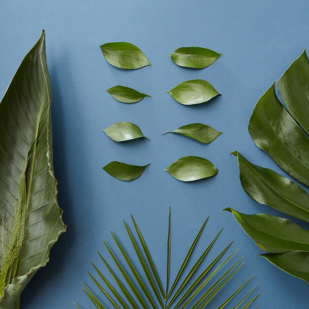 Premium Photo | Blue background with green leaves