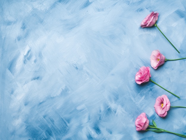 Premium Photo | Blue background with pink flowers