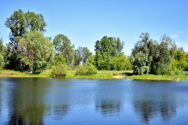 Premium Photo | Blue big forest lake and blue sky