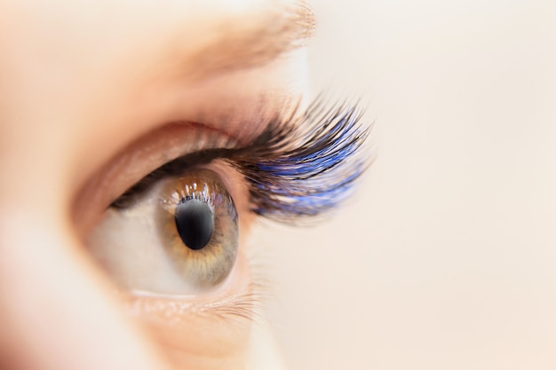 Blue color eyelash extensions Premium Photo