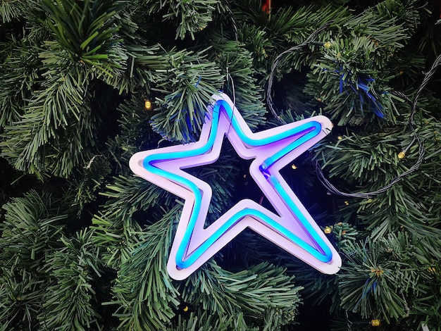 Premium Photo Blue Illuminated Neon Star Decorated On Green Christmas Tree