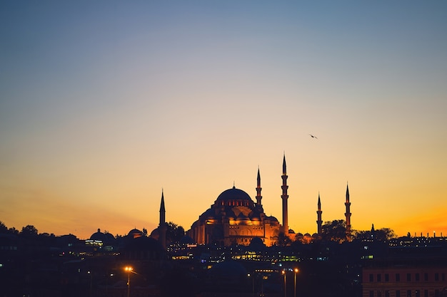 Blue mosque in istanbul