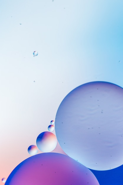 Free Photo | Blue and purple circles on a light blue surface