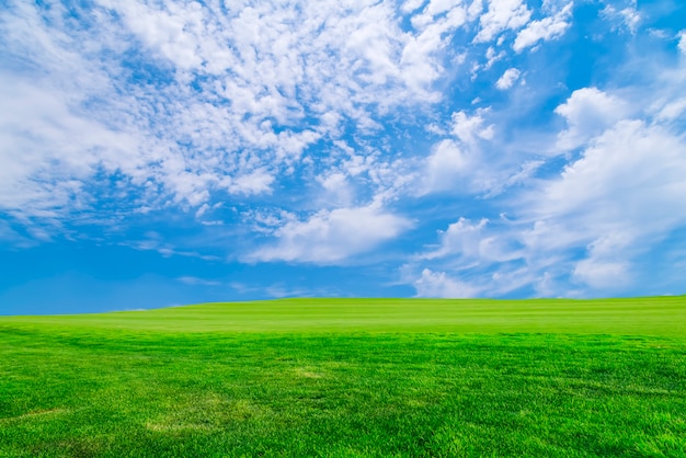 青空 写真 255 000 高画質の無料ストックフォト