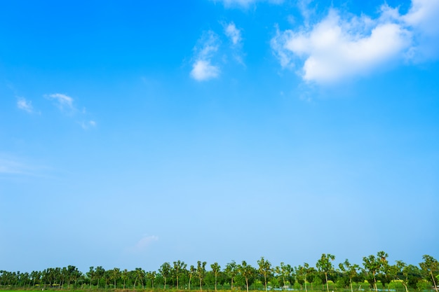 Blue sky background texture with white clouds. Photo ...