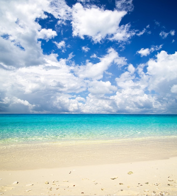 Premium Photo | Blue sky and tropical beach