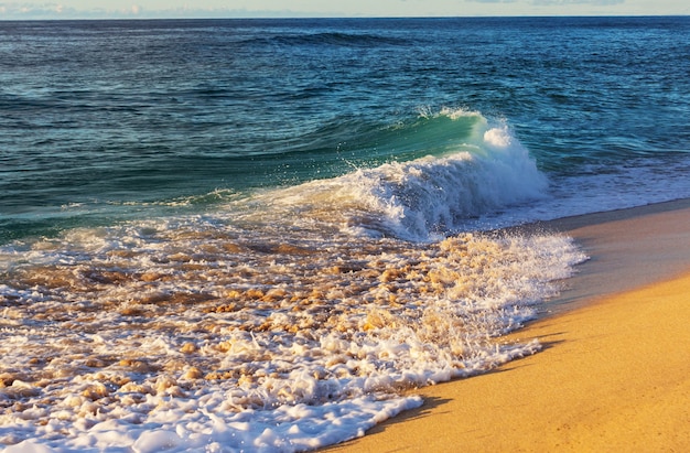 Premium Photo | Blue wave on the beach. blur background and sunlight ...