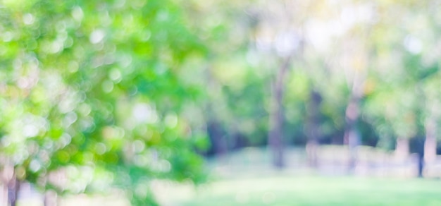 Premium Photo Blur Park With Bokeh Light Background Nature Garden