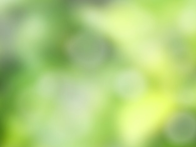 日差しの庭の緑の葉のぼやけ ナチュラルグリーンの背景と壁紙 プレミアム写真