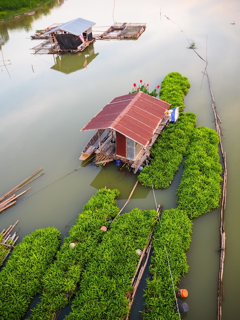 Premium Photo | Boathouse on the river with floating garden raft