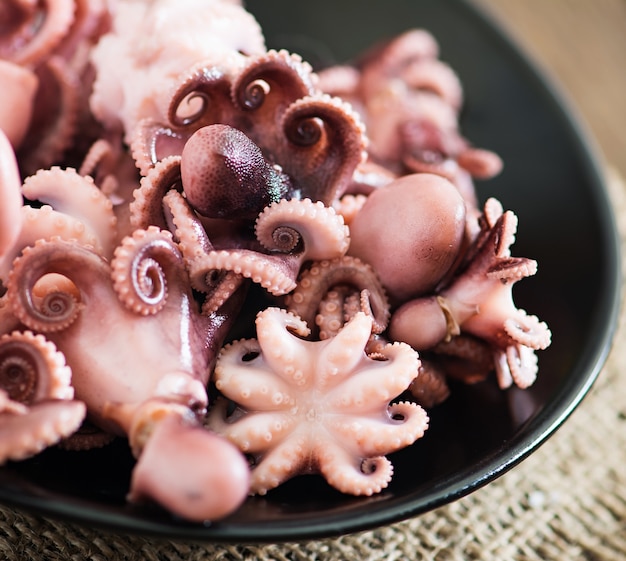 Boiled small octopus on a plate | Free Photo