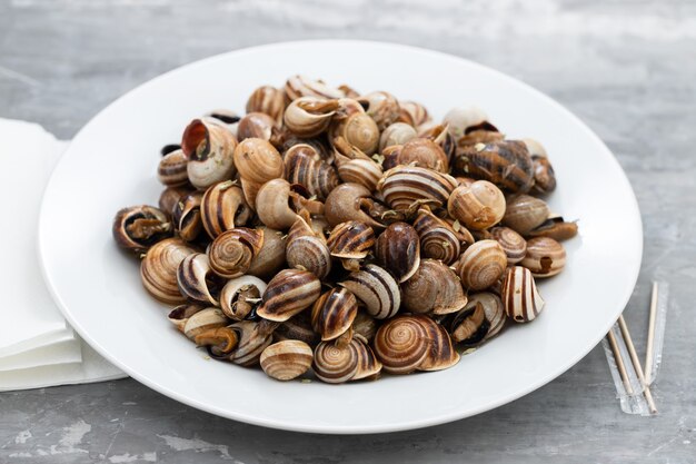 Premium Photo | Boiled snails on white plate on ceramic background