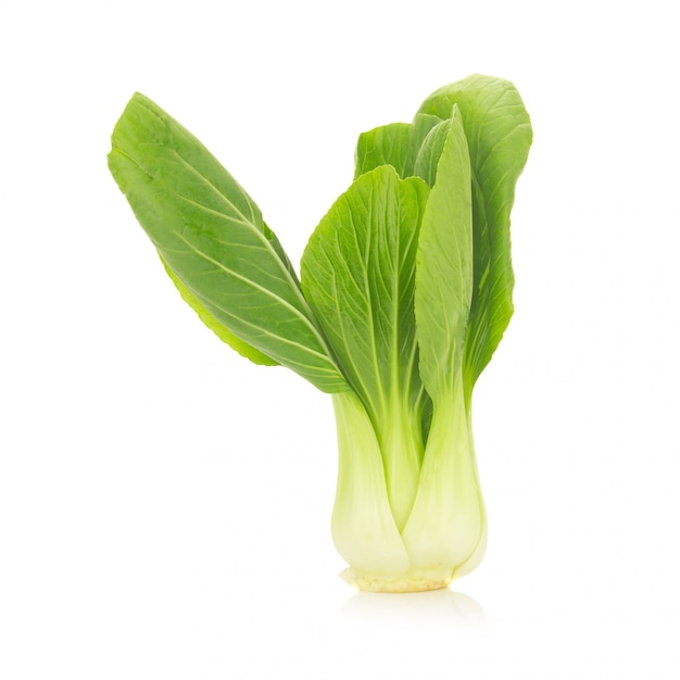 Premium Photo | Bok choy vegetable isolated on the white background