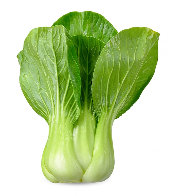 Premium Photo | Bok choy vegetable isolated with clipping path