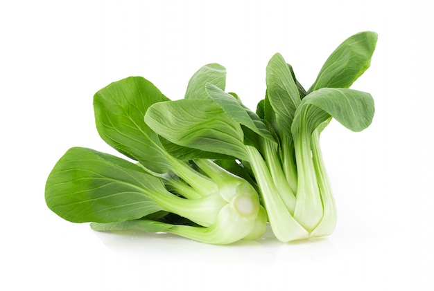 Premium Photo | Bok choy on white wall.