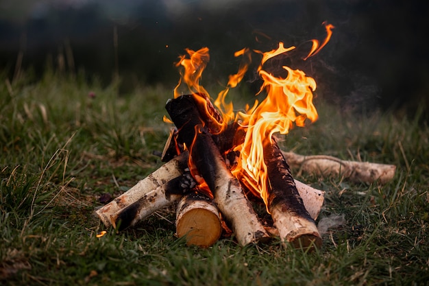 Bonfire. orange flame of a fire. bonfire on the grill with smoke ...