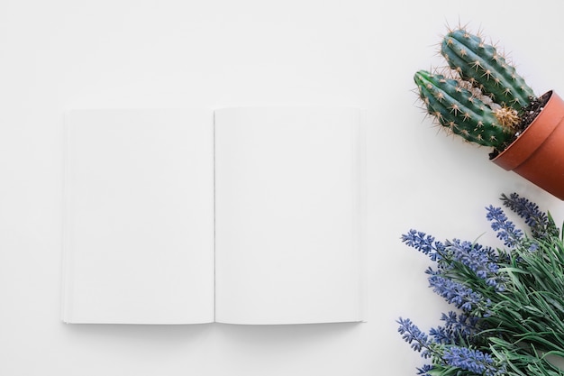 Free Photo | Book cover mockup with cactus and flowers