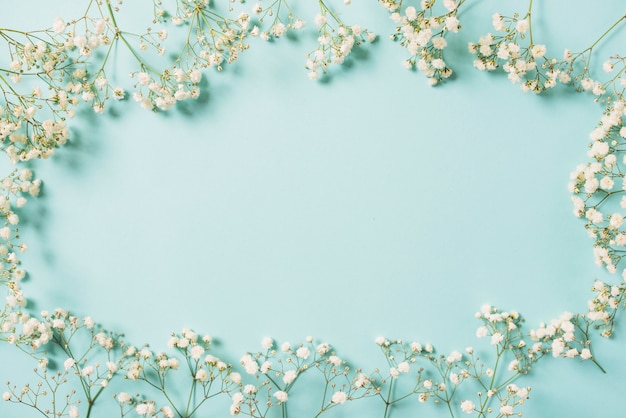 Border from white flowers Photo | Free Download