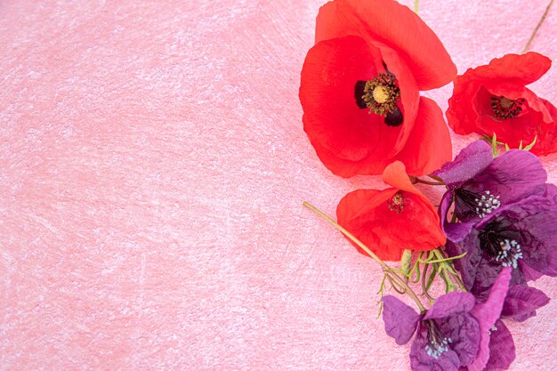 ピンクの背景とコピースペースに紫と赤のポピーの花の境界線 プレミアム写真