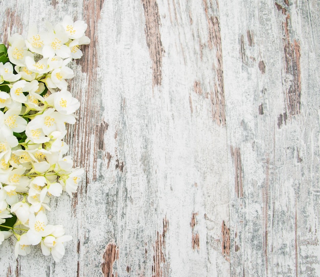 Premium Photo | Border with jasmine flowers