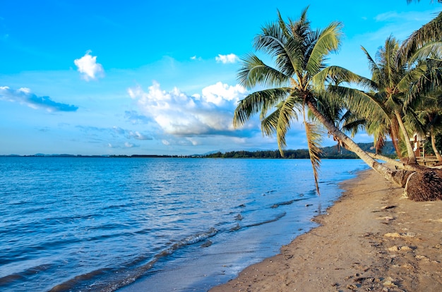 Premium Photo | Borneo island coastline