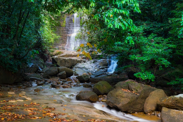 Borneo rain forest waterfall Premium Photo