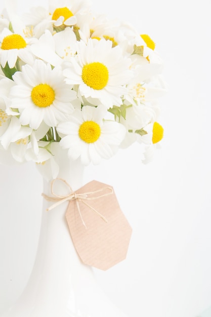 Bouquet of daisies. Free Photo