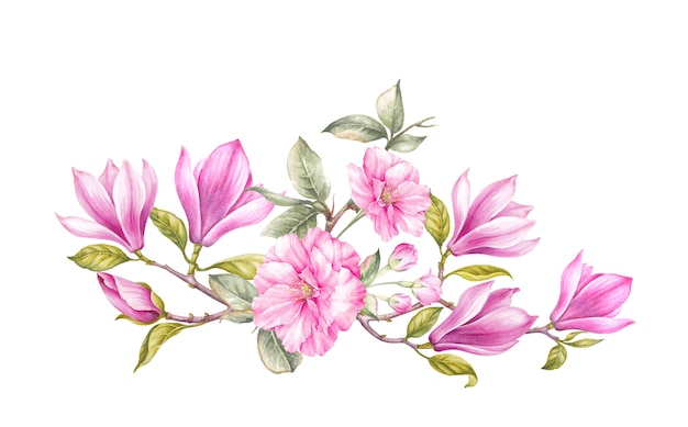 Bouquet of magnolia. Premium Photo