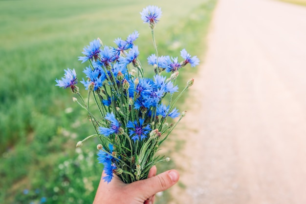 夏のフィールドの背景に青いヤグルマギクの花束 ハーブの野の花 ベラルーシのシンボル プレミアム写真