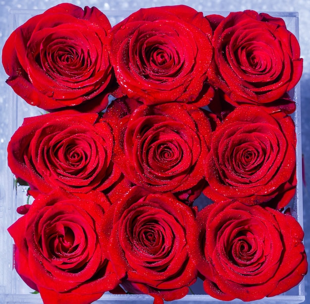 花の花束 新鮮な赤いバラ 赤いバラのコラージュ 花束の新鮮なバラ プレミアム写真