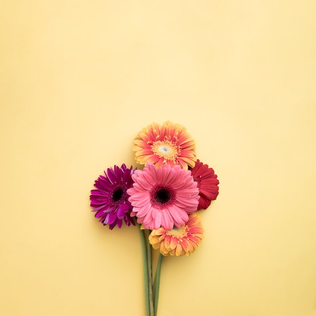 ガーベラの花束 無料の写真