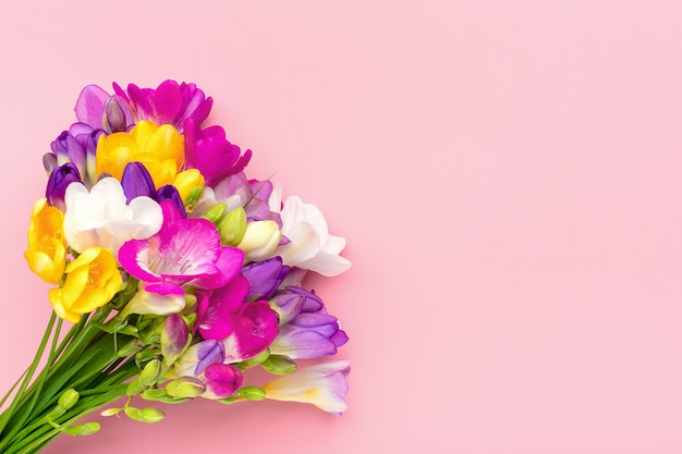 ピンクの背景に分離された小枝フリージアの花の花束花の休日カードトップビューフラットレイアウト プレミアム写真