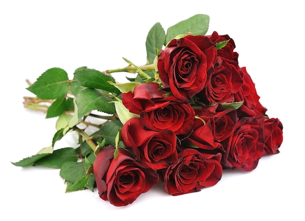 Premium Photo | Bouquet of red roses on a white background