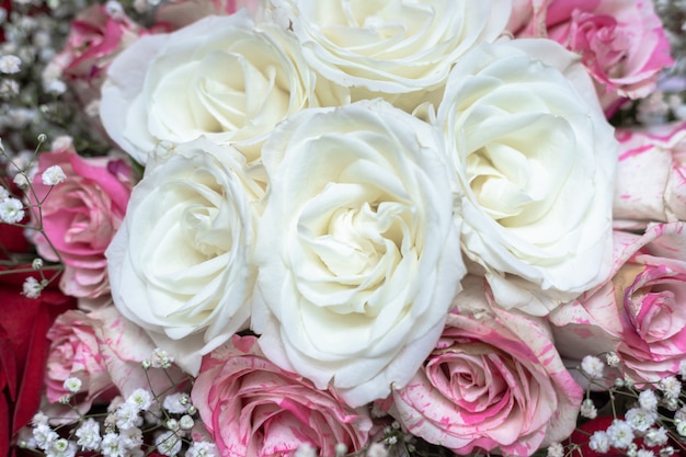 Premium Photo | A bouquet of white, red and pink spotted roses ...