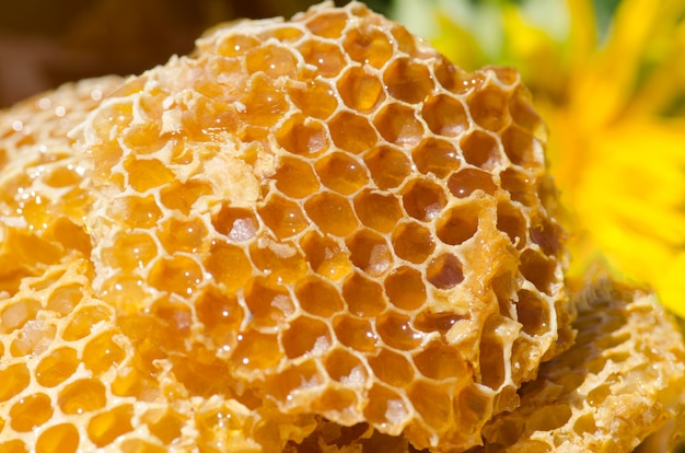 Premium Photo | Bowl with fresh honeycombs and honey. organic natural ...