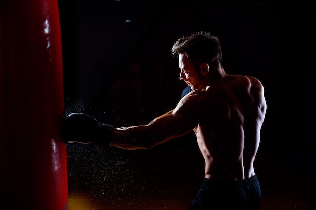 Boxer and punching bag Premium Photo
