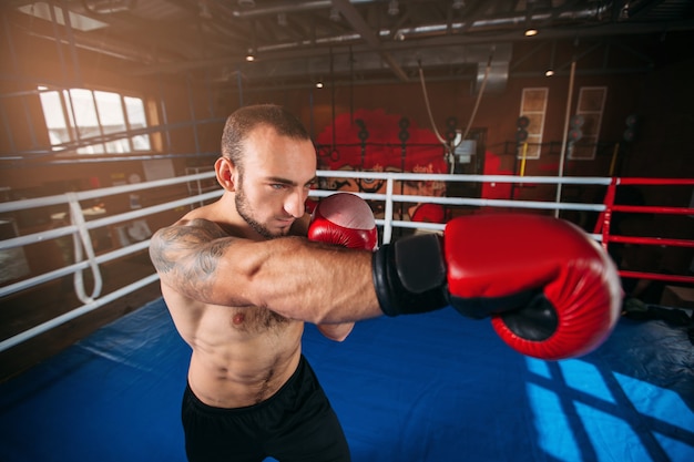 Premium Photo | Boxer with tattoo on a shoulder.