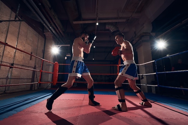 Premium Photo | Boxers training kickboxing in the ring