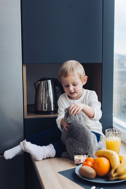 Boy and cat Free Photo