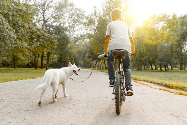 公園の道にハスキーの白い犬と自転車の男の子 プレミアム写真